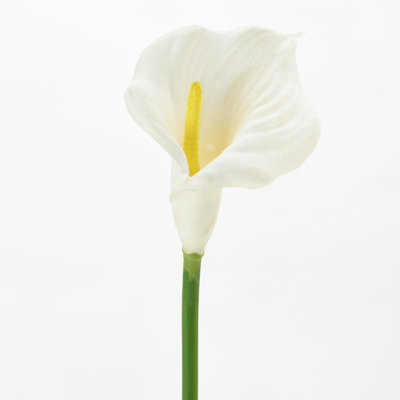 Lillies Arrangement