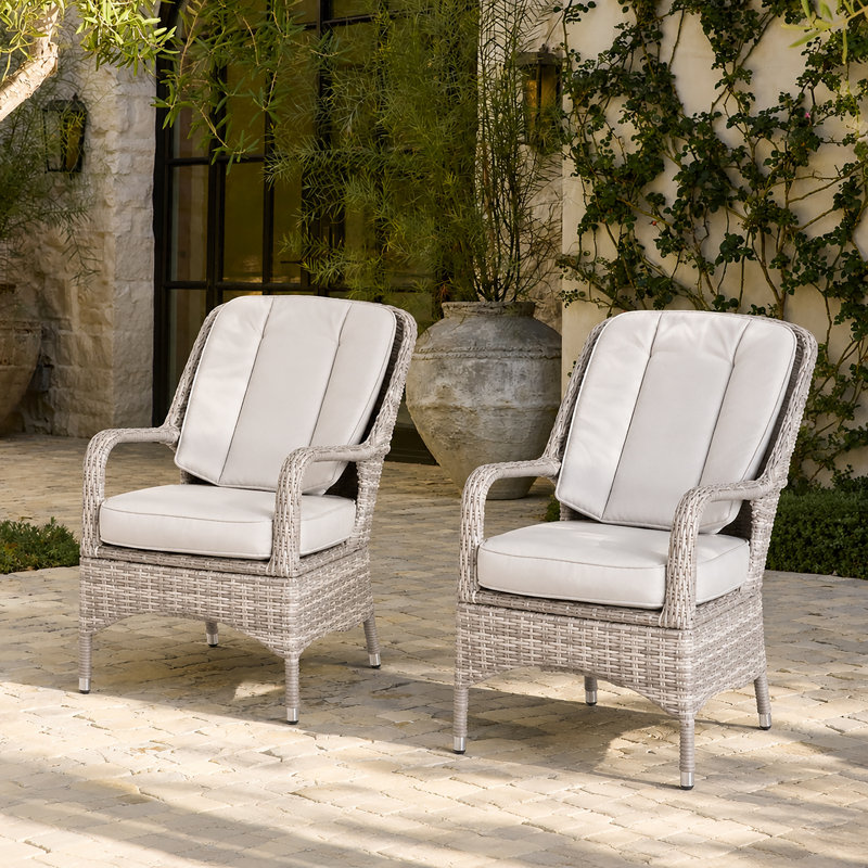 Chaise de salle à manger en osier pour l'extérieur avec coussins (ensemble de 2), Blanc