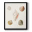 Toile encadrée Pastel Knorr Shells-350724587-350724598