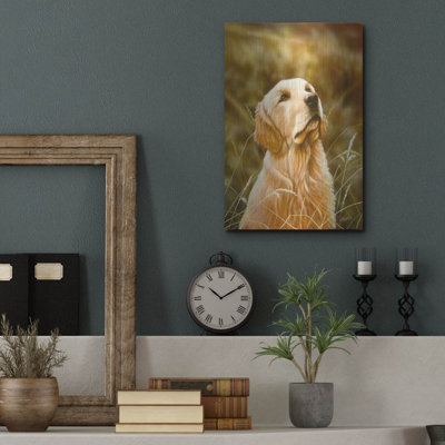 «Golden Dog» par John Silver