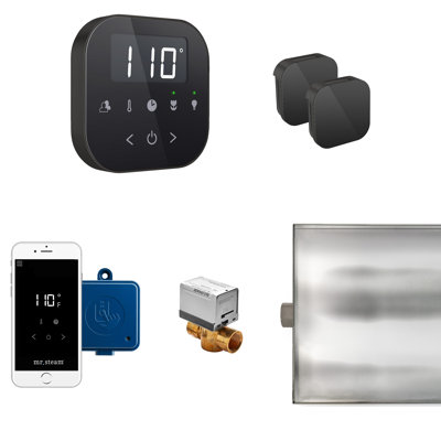 Ensemble de générateur de vapeur AirButler Max