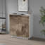 Sawaira 2 -Door 1 -Shelf Storage Cabinet-388512522
