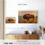 Bison sauvage sur le terrain-491813634