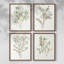 «Simple Sprig I», ensemble de 4 reproductions encadrées-1123619962-1123619964