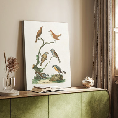 Antique Birds in Nature IV -Custom Wrapped Gallery Cavas