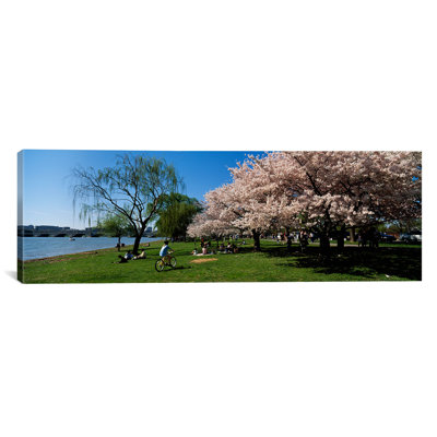 « cerises fleurs, washington dc », reproduction de photo sur toile
