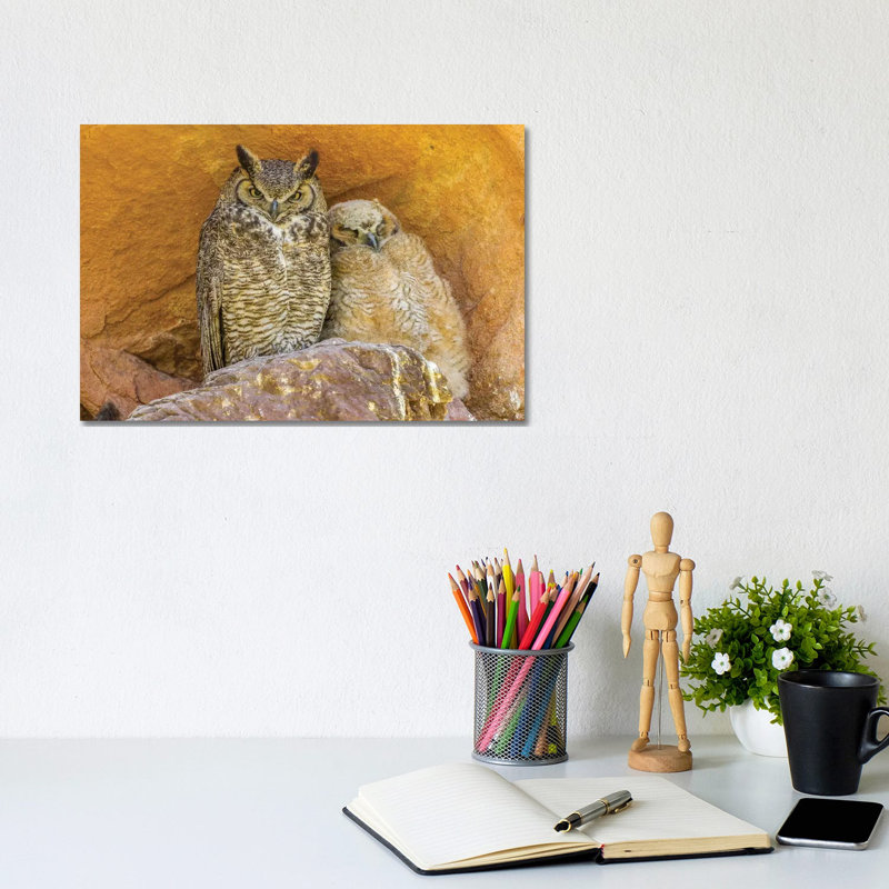 USA, Colorado, Red Rocks State Park. Great horned owl and owlet at nest in rocks. 1 Piece Wrapped Canvas Wall Art