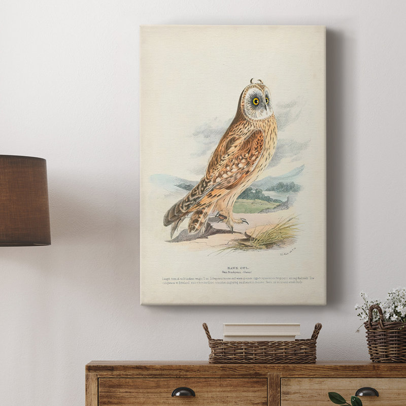 Hawk Owl - galerie sur mesure, H 27 po x l 18 po