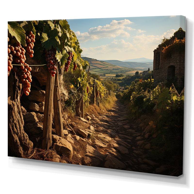 «Vineyard Hidden Gem» sur toile, H 12 po x l 20 po, Toile tendue