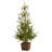 Easy Set-Up Christmas Tree-1239561442