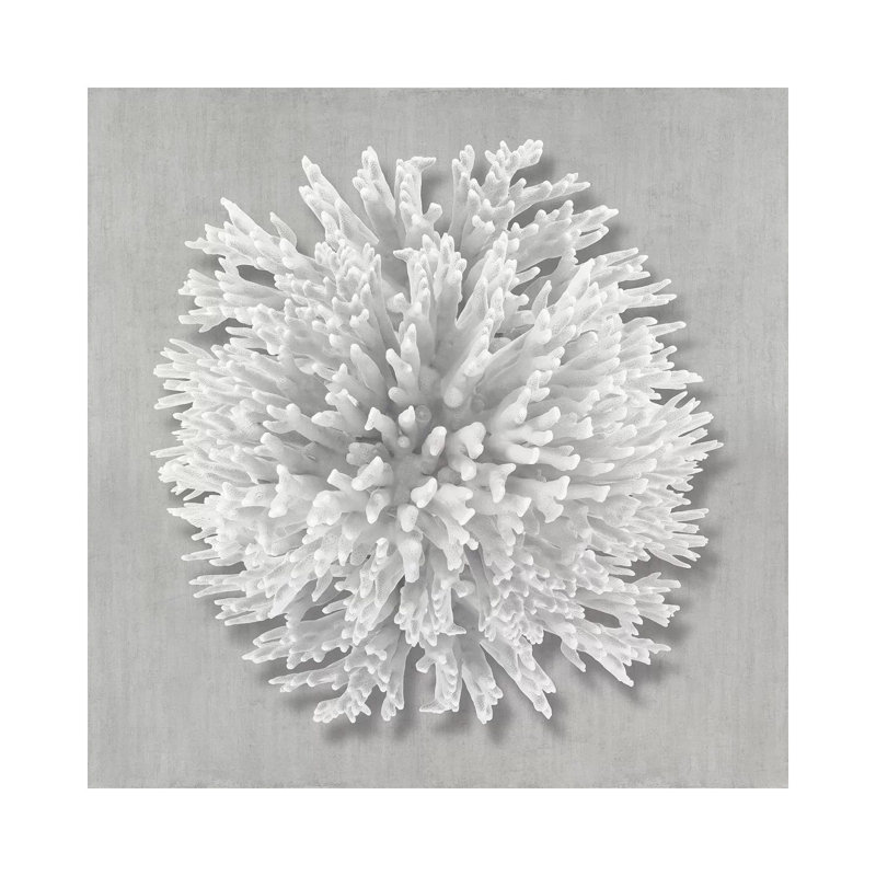 Coral On Gray I by Caroline Kelly - Wrapped Canvas Print, 66.04 cm H x 66.04 cm W x 1.91 cm D