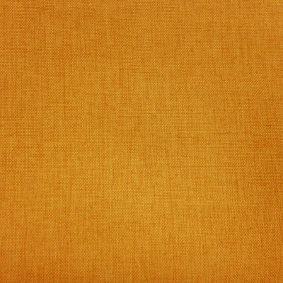 Tissu Anopsia