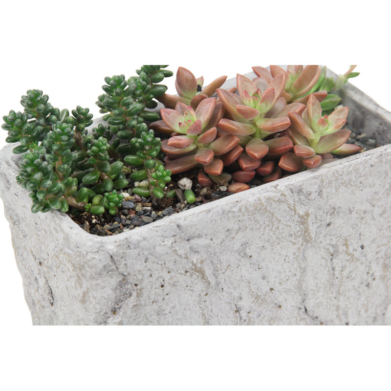 9" Gray Speckle Glaze Cement Indoor Outdoor Rectangular Pot Planter
