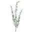 Branche d'eucalyptus artificiel 30 po