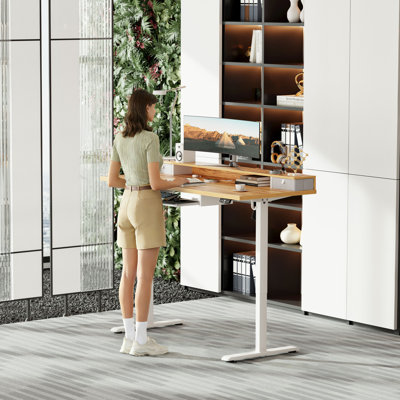 48 Inch Electric Standing Desk with 2 Drawers & Keyboard Tray, Adjustable Home Office Desk Ergonomic Sit to Stand Computer Desk with Hooks for Gaming & Work,Light Rustic Brown