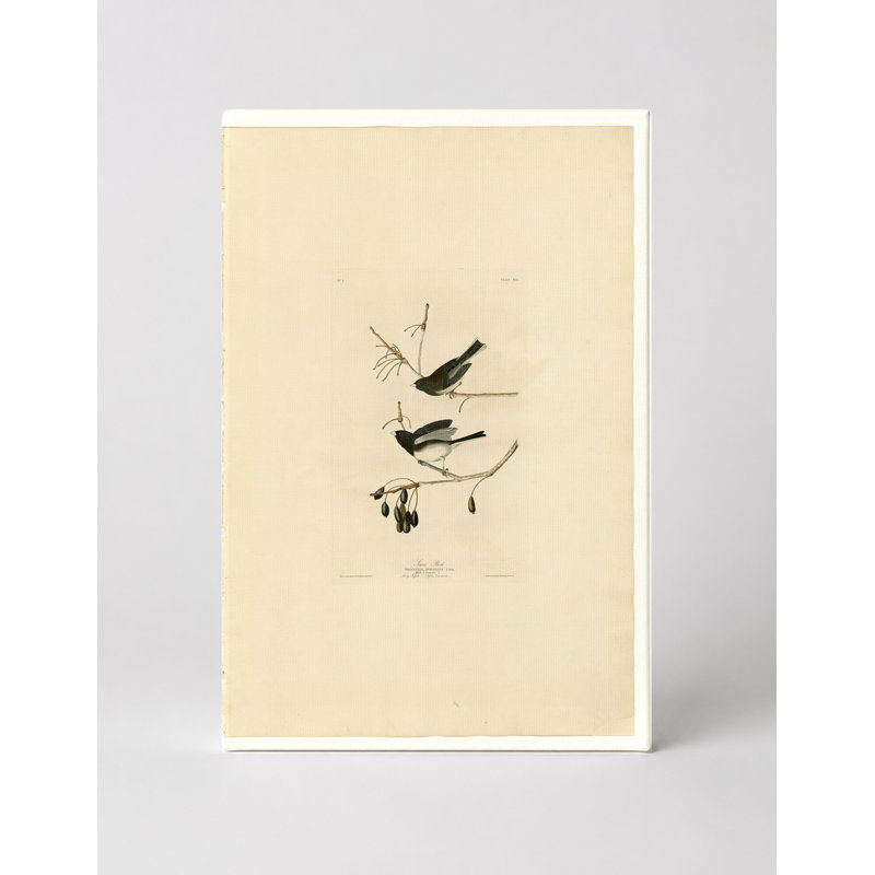 Snow Snow, Plate XIII (1827) - Portrait, art mural sur toile, 14" W x 11" H
