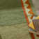 Caden Hand-knotted Wool Rug