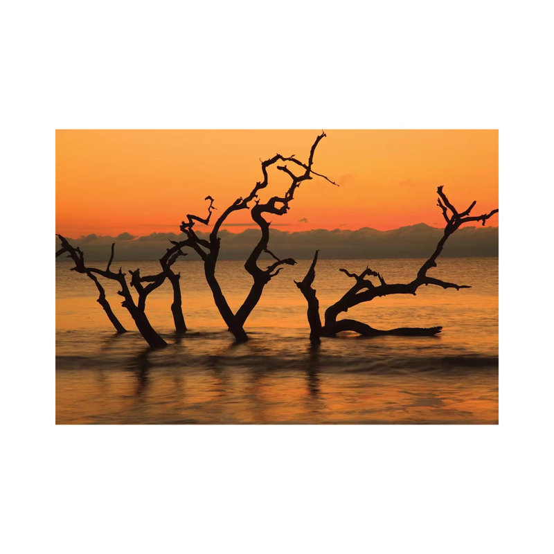 USA, Jekyll Island, Georgia. Driftwood Beach At Sunrise. by Joanne Wells - Wrapped Canvas Print, 66.04 cm H x 45.72 cm W