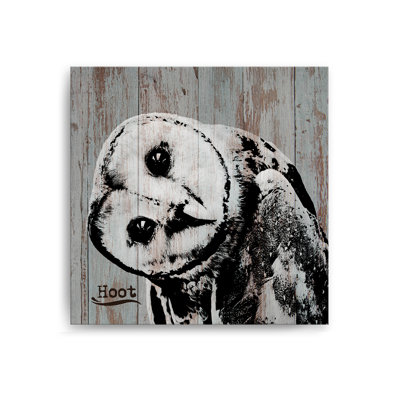 " Hoot " by Olivia Rose