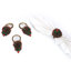 Rond de serviette Yule Tree Holiday