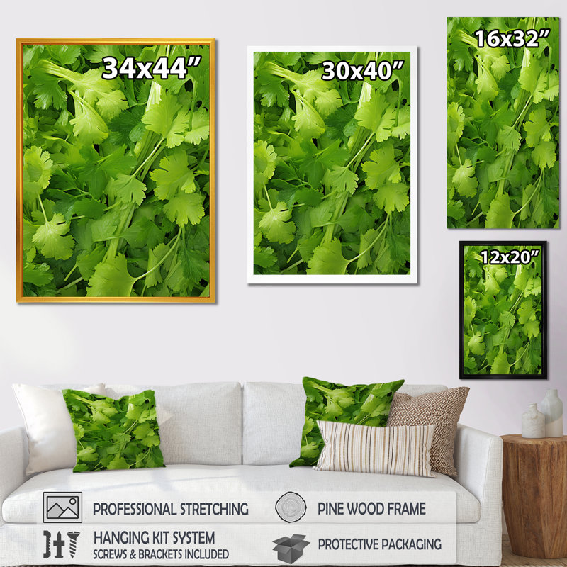 «Herbs Parsley Dance 2 - Floral Herbs», art mural, Cadre doré simple, H 44 po x l 34 po x P 1,5 po