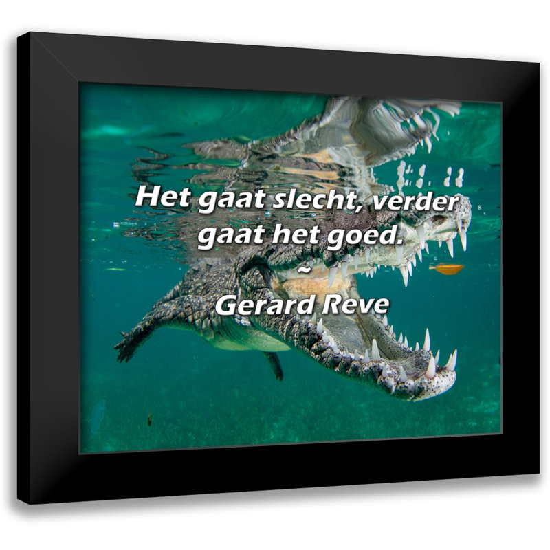 Gerard Reve Citation: «Het gaat slecht, verder gaat het goed».
