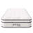 Modway Jenna 8" Innerspring and Foam Narrow Twin Mattress-112310296