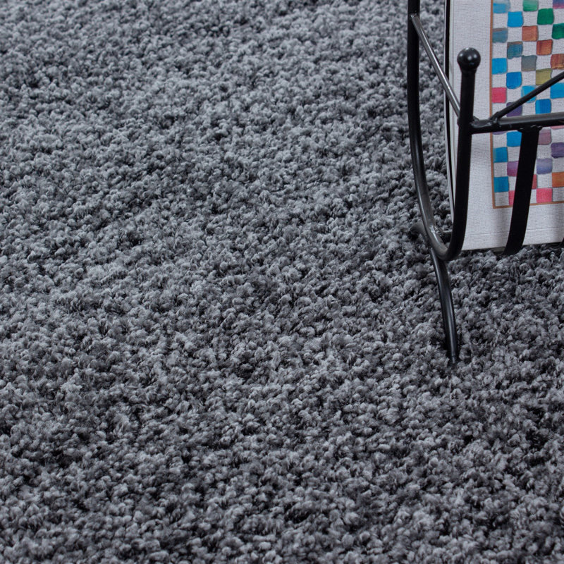 Tapis gris foncé en polypropylène tissé à la machine Dolline, Rectangle 5 pi 3 po x 7 pi 7 po