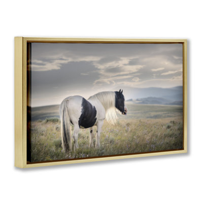 Art mural en toile encadrée "Spotted Horse on Sunny Terrain", par PHBurchett
