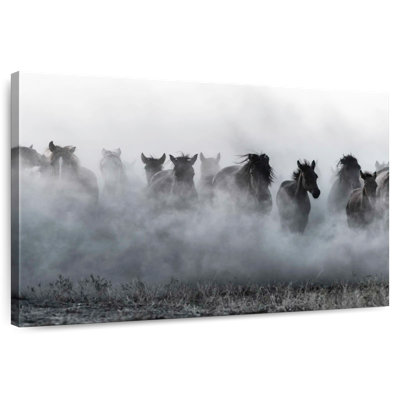 Chevaux turcs