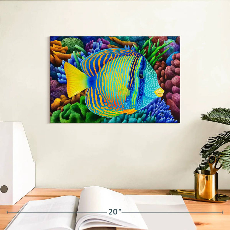 Sailfin Tang, 8" H x 12" W