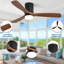 Ceiling Fan with LED Lights