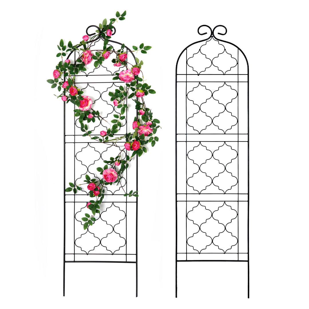 Jazmany  60'' H x 15.7'' W Iron Lattice Panel Garden Trellis for Climbing Plants Support (Set of 2) Winston Porter