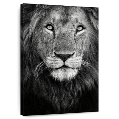 Portrait de lion royal Brampt