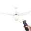 Nagma Ceiling Fan with Light Kit