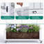 Planter Box With Trellis-1378036583