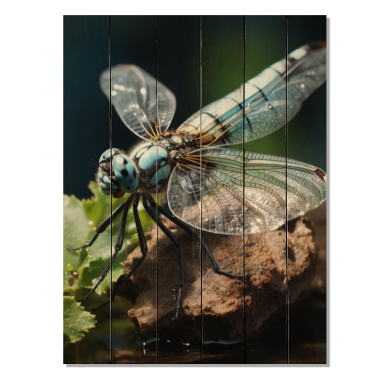 Libellule blanche sur fond d'insectes, H 20 po x l 10 po x P 0,78 po