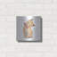 Art mural en métal Red Barrel Studio «Cutie Kitties 2» par Emily Adams-127208454