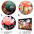 Peach Green Cactus Representation Multicolored Acrylic II - Floral Metal Art Print Set
