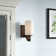 Radita Steel Armed Sconce