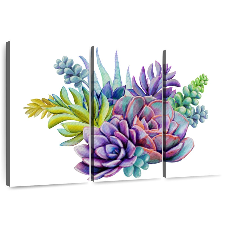 Plantes grasses colorées Harnek, H 36 po x l 57 po
