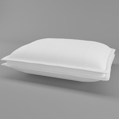 Oreiller en duvet d'oie Kittredge