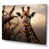 Wrapped Canvas