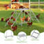 Aire de jeu multi-animaux avec balançoire et échelles - Perchoir en métal et en bois robuste pour poulets, chats, chiens et plus