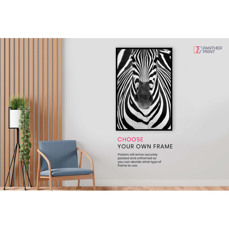 Zebra Close Up Artistic - No Frame Print, 61cm H x 41cm W
