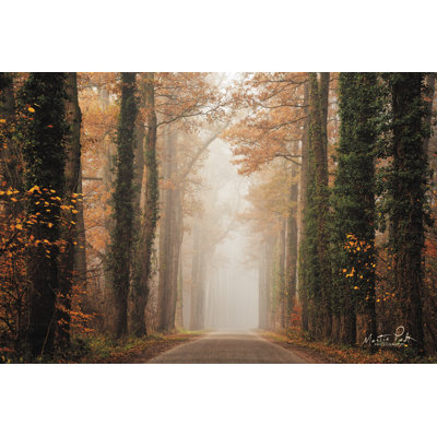 Route d'automne brumeuse