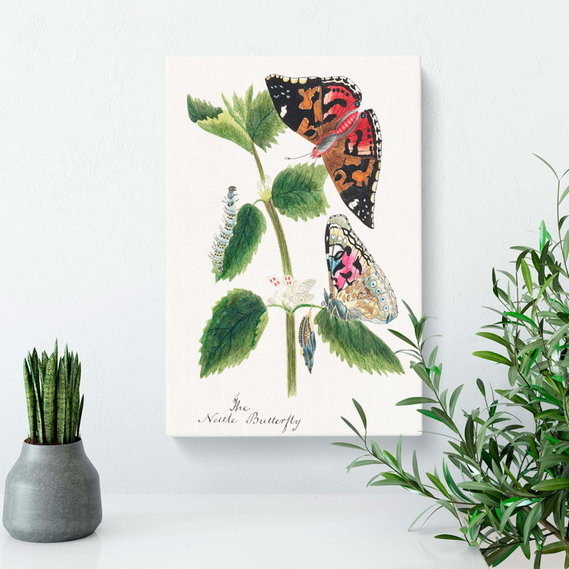 Caterpillars & Butterflies - Wrapped Canvas, 50cm H x 35cm W x 3cm D