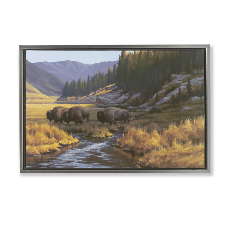 "Bison Trailer Serene Stream", art mural encadré par Floater, H 21 po x l 31 po, Cadre flottant gris lustré