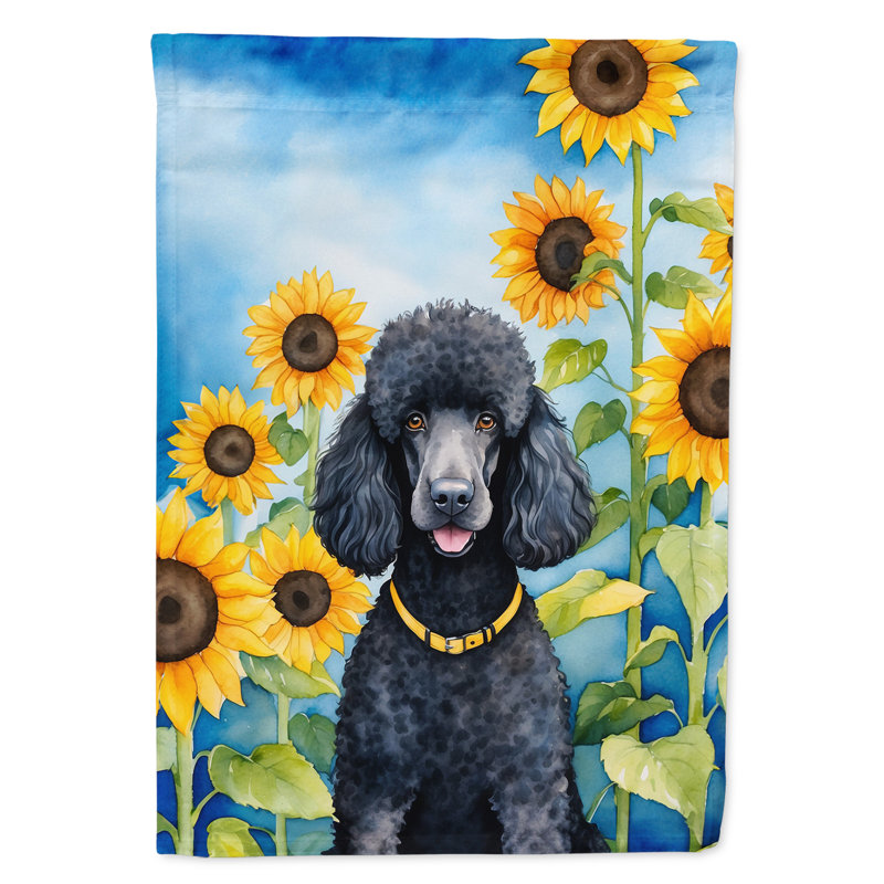 Lévrier irlandais dans le drapeau du jardin de tournesols, Or / caniche noir
