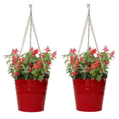 Arnkell Metal Hanging Planter